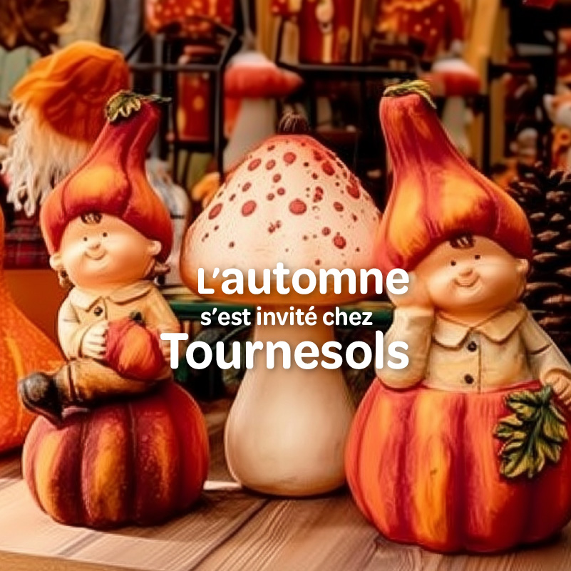 Découvrez notre très belle collection de décos d'intérieur sur le thème de l'automne